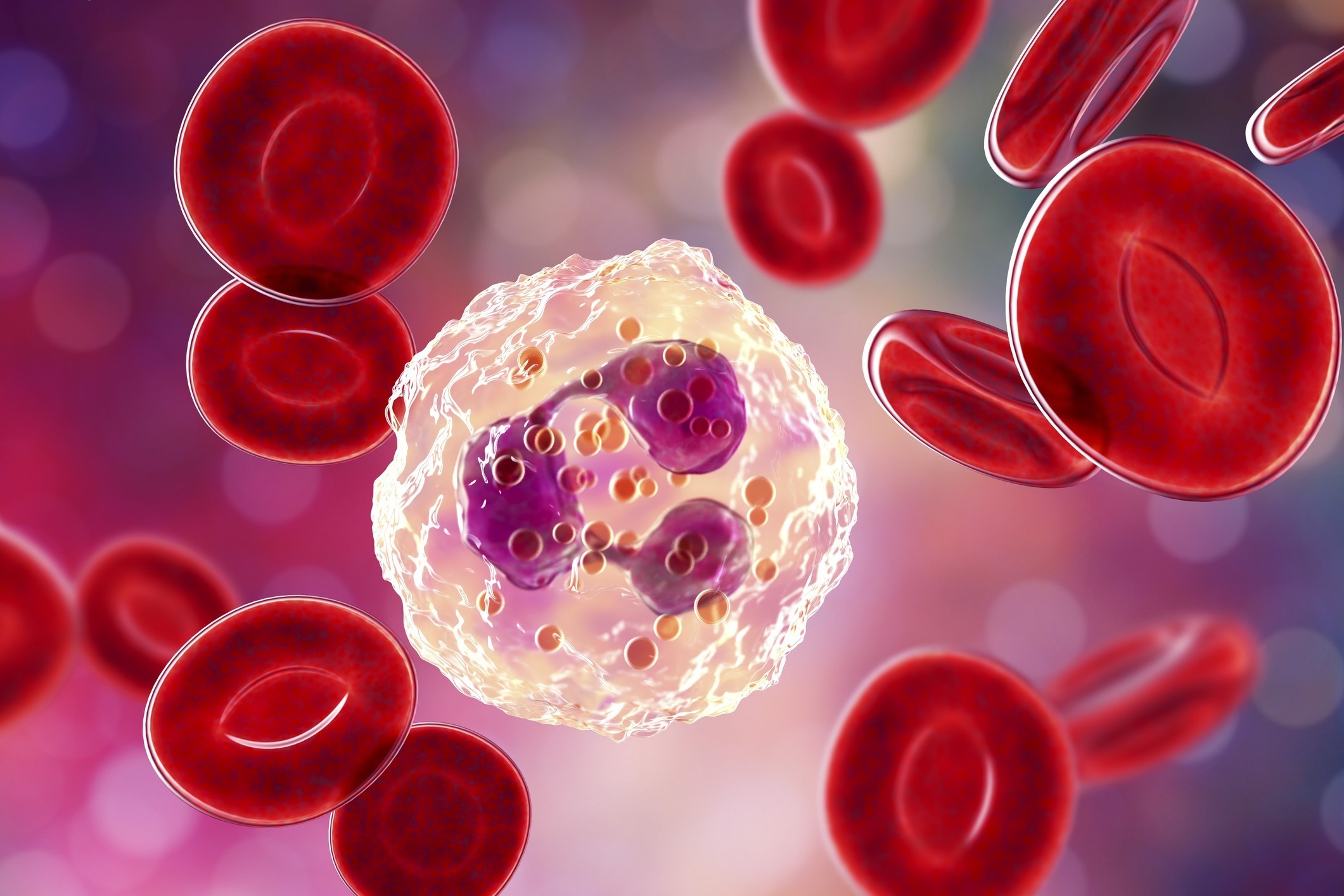 Hematologia